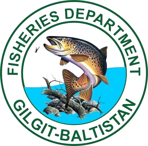 directorate of fisheries gbjpg