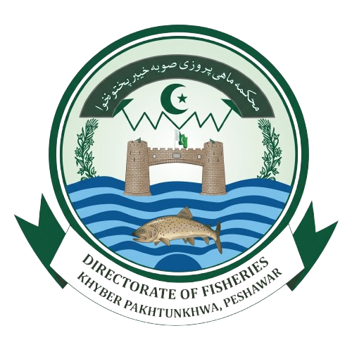 directorate of fisheries kpk