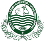 punjab cattle market